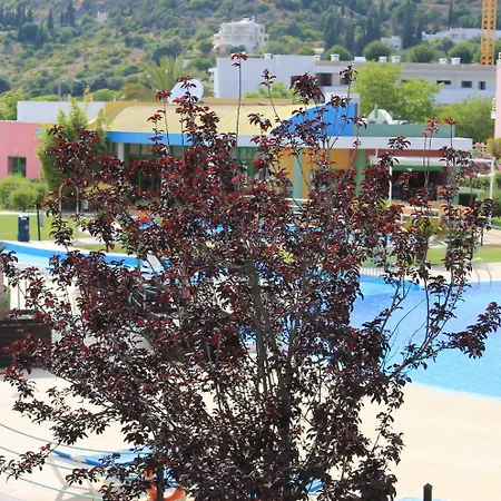 Apartmán Da Orada, T1-e117,marina Albufeira